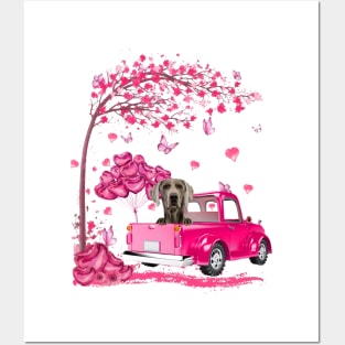 Valentine's Day Love Pickup Truck Weimaraner Posters and Art